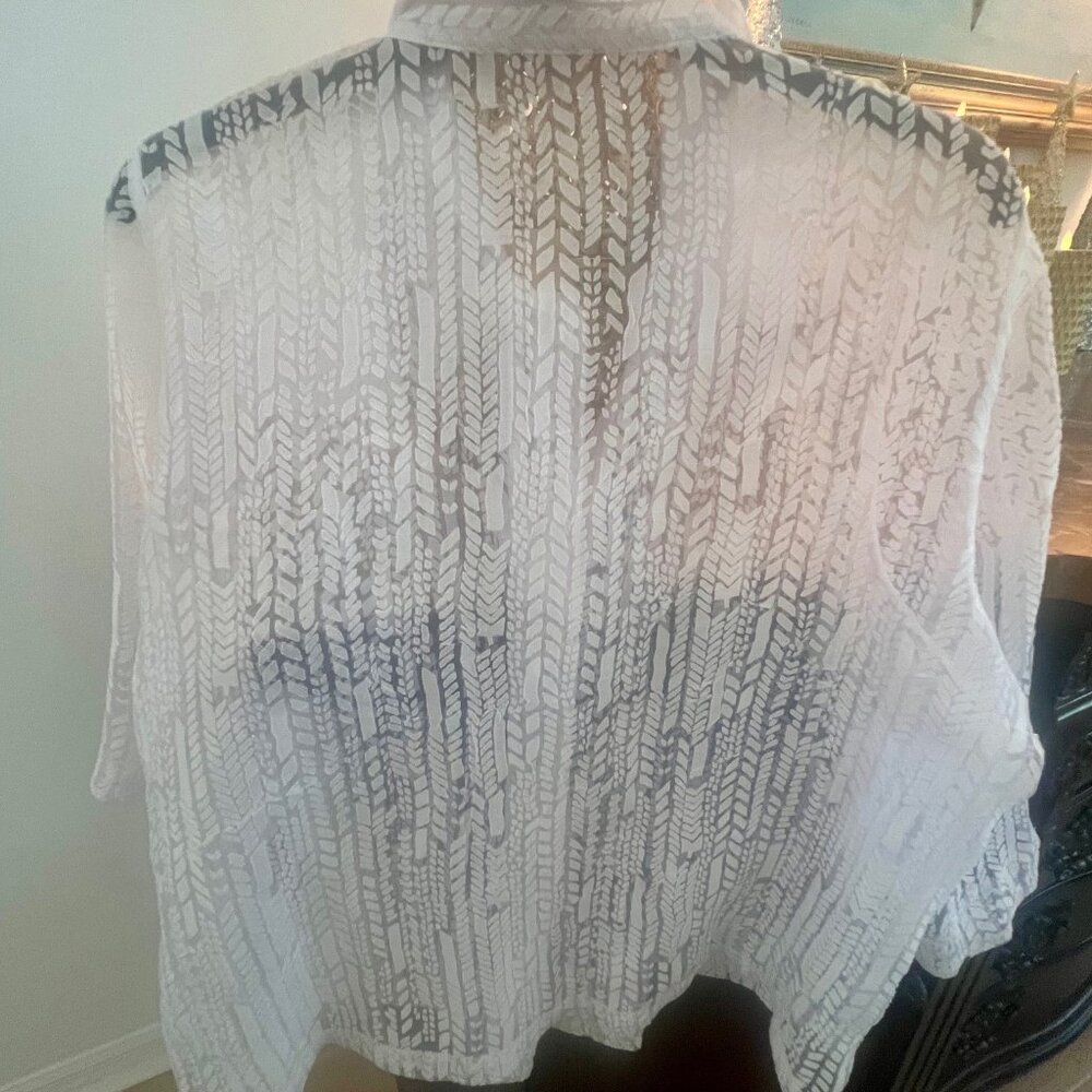 White Sheer Button Down - image 1